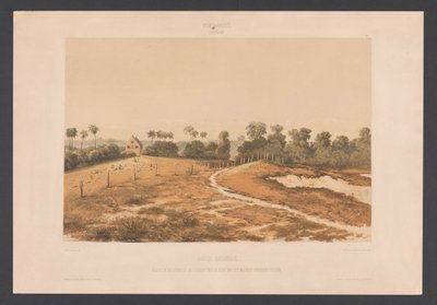Yahudi Savanası Yahudiler Savannah. Askeri Cordonpad