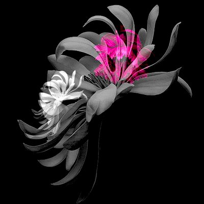  by linda arthurs