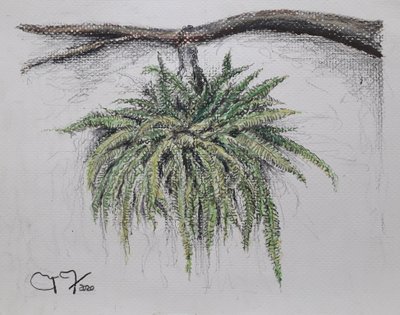 SÜS BİTKİ - EĞERN by miguelmendez_art.ve