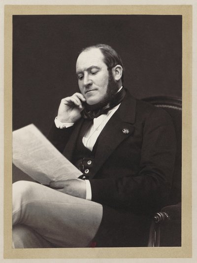 Baron Georges-Eugène Haussmann (1809-1891), Paris Valisi, III. by stitch and restoration by Jebulon UnknownUnknown . Upload