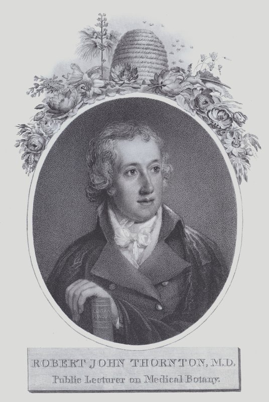Robert John Thornton (taş) by (after) English School