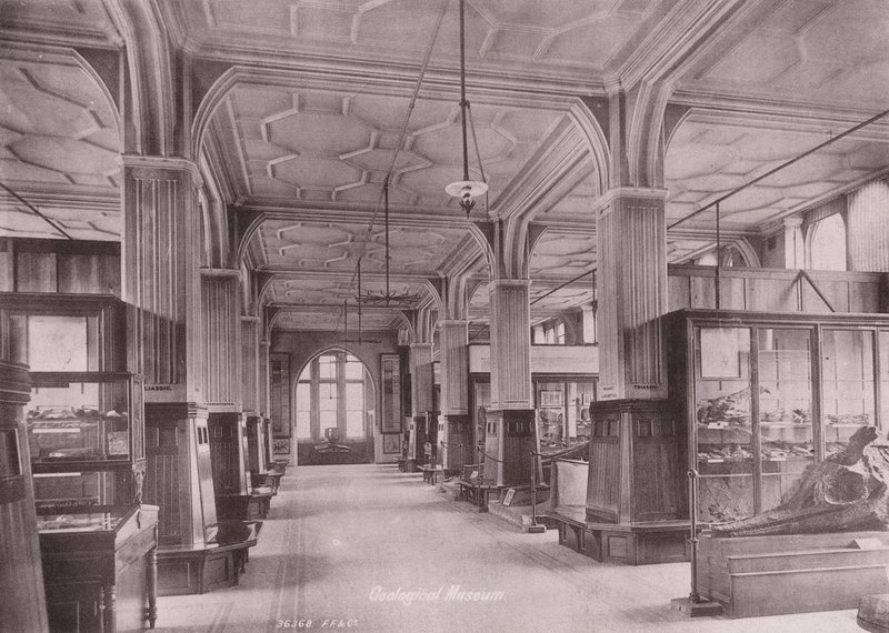 Owen#39;s College, Manchester: Jeoloji Müzesi (s/b fotoğraf) by (after) English photographer