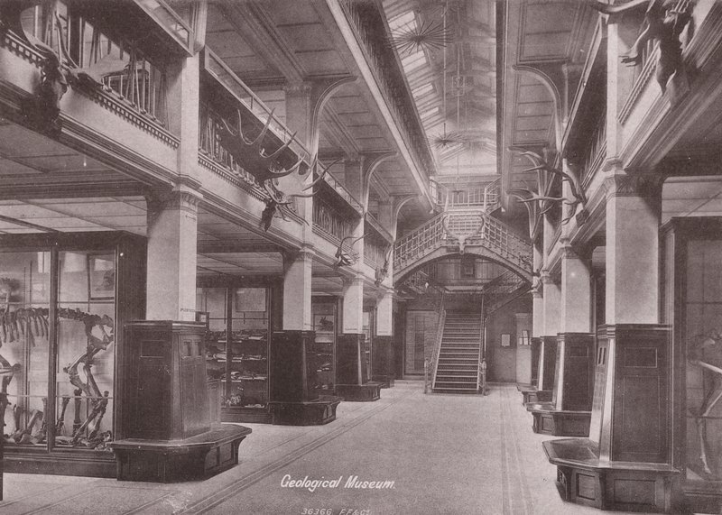 Owen#39;s College, Manchester: Jeoloji Müzesi (s/b fotoğraf) by (after) English photographer