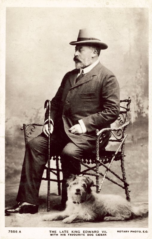 Merhum Kral Edward VII, en sevdiği köpek Caesar ile (s/b fotoğraf) by (after) English photographer