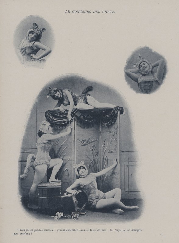 Kediler yarışması (s/b fotoğraf) by (after) French Photographer