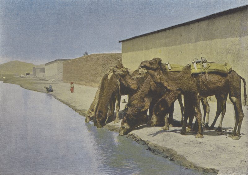 Nehir kenarındaki develer (renkli fotoğraf) by (after) French Photographer