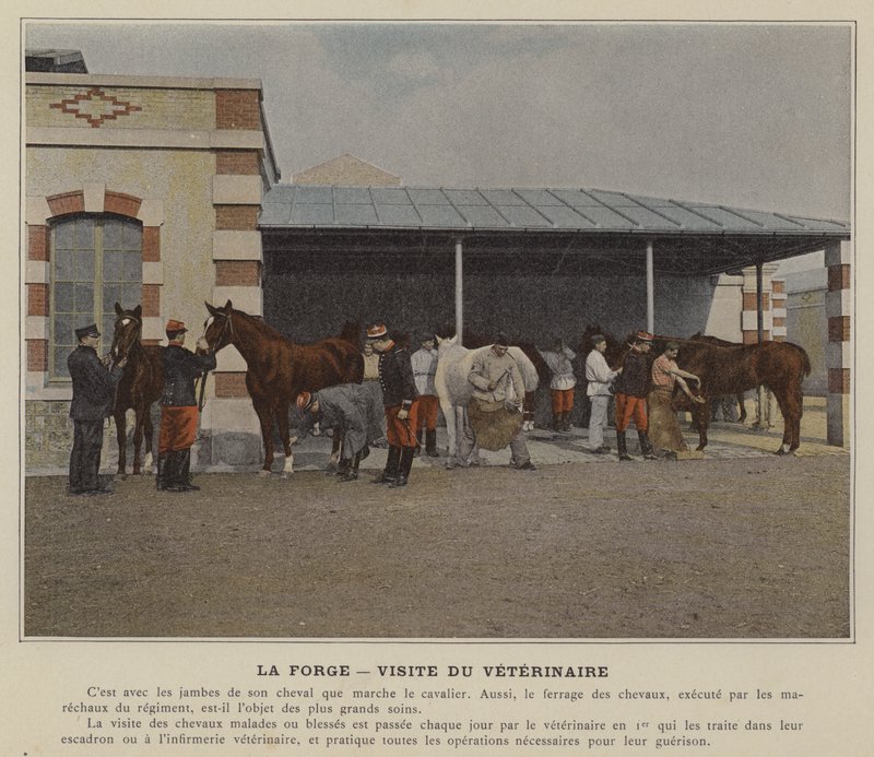 La Forge, Veteriner Ziyareti (renkli fotoğraf) by (after) French Photographer