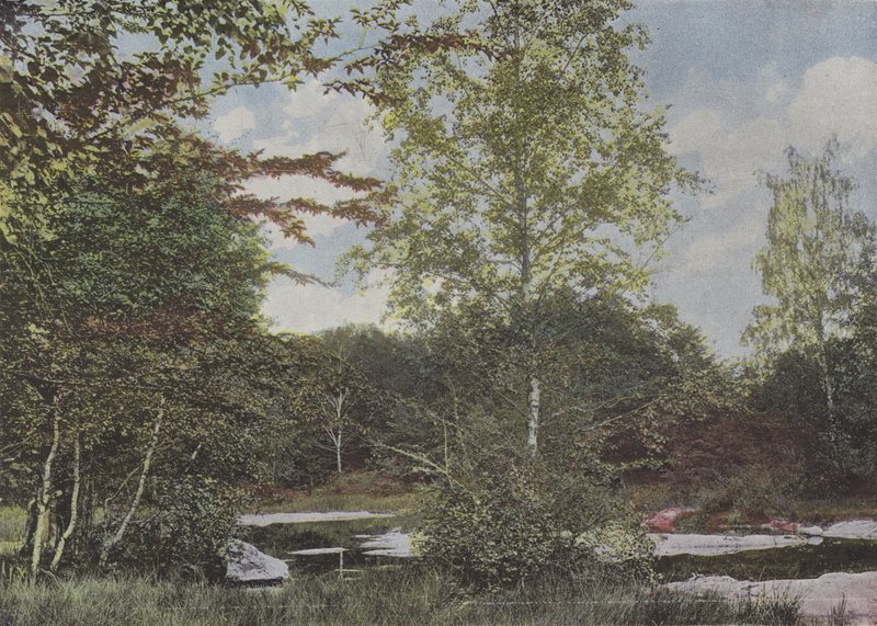 La mare aux Ücretleri (renkli fotoğraf) by (after) French Photographer