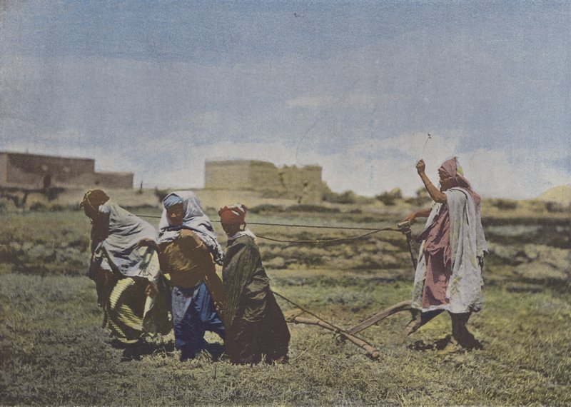 Kabylia