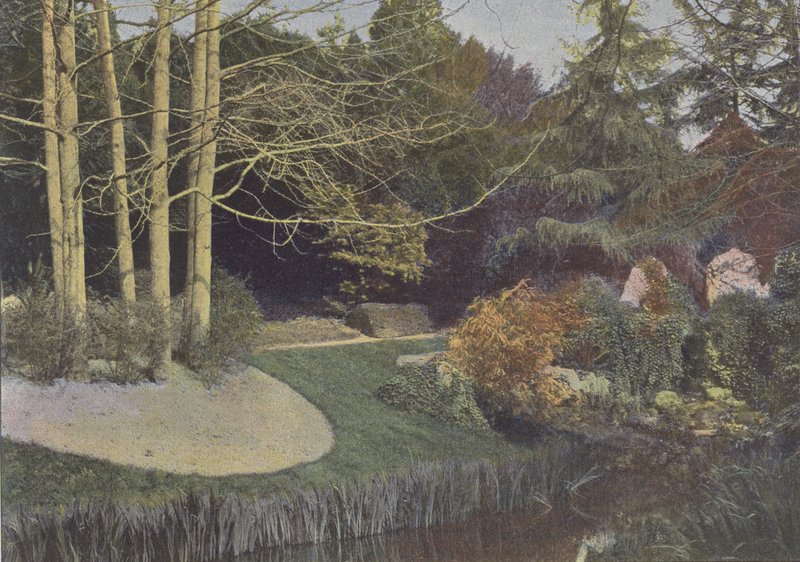 Nantes, Le Jardin des Plantes (renkli fotoğraf) by (after) French Photographer