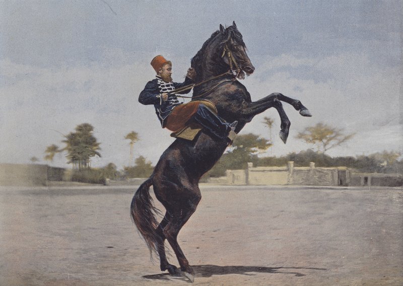 Nos Cavaliers (renkli fotoğraf) by (after) French Photographer
