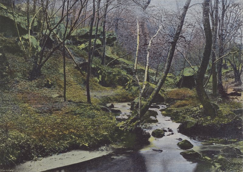 Vaux de Cernay, Les Cascades (renkli fotoğraf) by (after) French Photographer