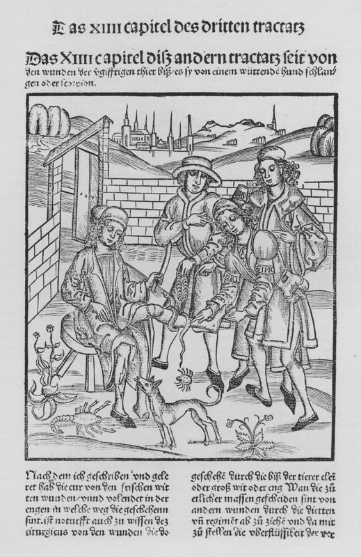 Sirurgia Kitabı, Hieronymus Brunschwig (lito) by (after) German School