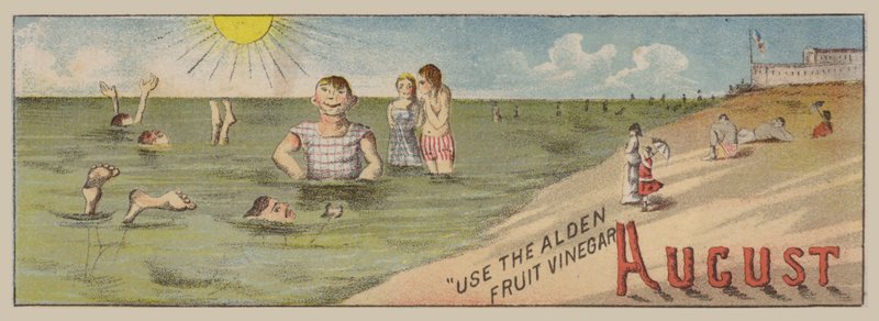 Ağustos by American School