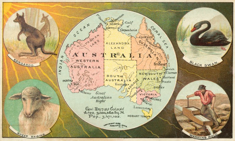 Avustralya by American School