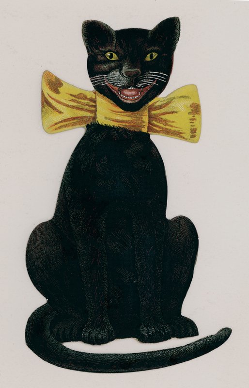 Sarı bir fiyonk takan kara kedi by American School