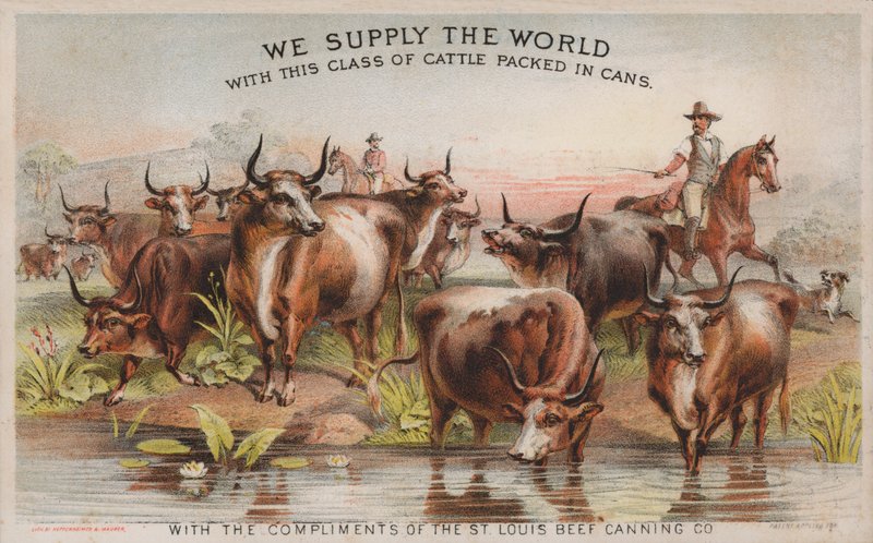 Sığır sürüsünde kovboylar, St Louis Beef Canning Company için reklam by American School