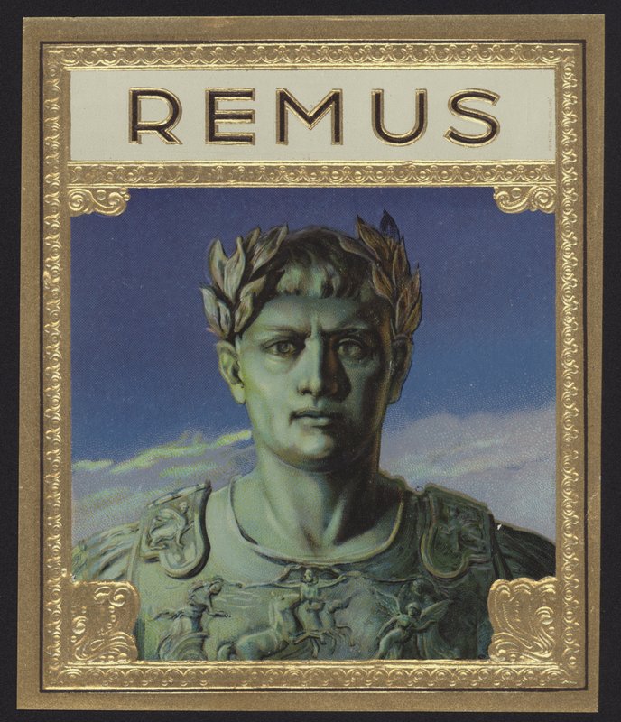 Remus by American School