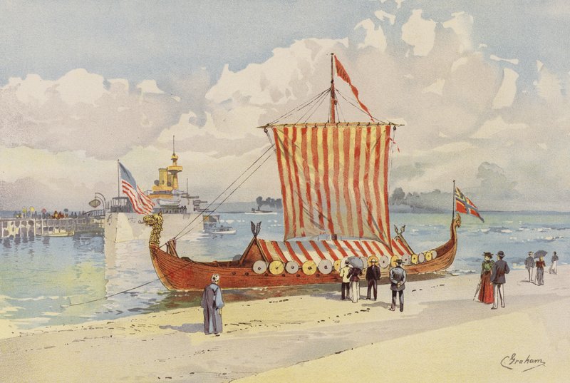 Viking by American School