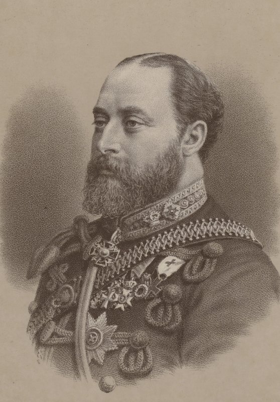 Albert Edward, Galler Prensi by English School