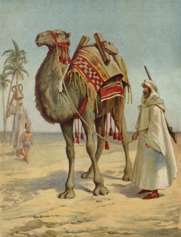 Arap Tüccar by English School