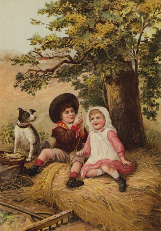 Kırsal kesimde oynayan çocuklar by English School