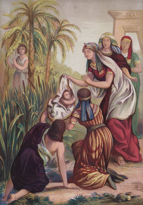 Musa