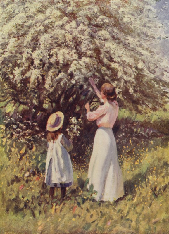 Mayıs Çiçeği by English School