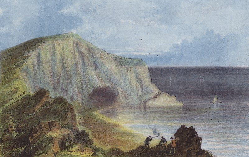 Scratchells Körfezi by English School