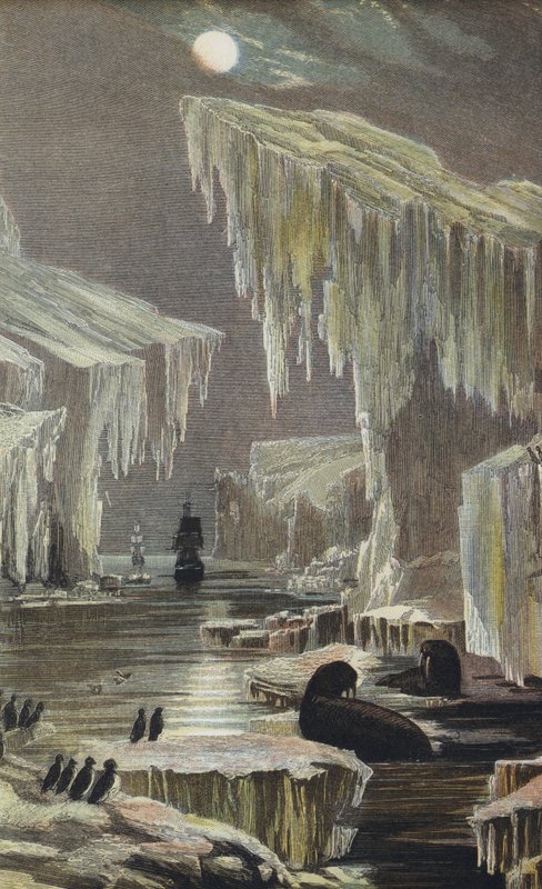 Arktik Bölgelerde Erebus ve Terör by English School