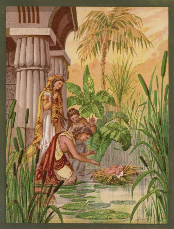 Musa
