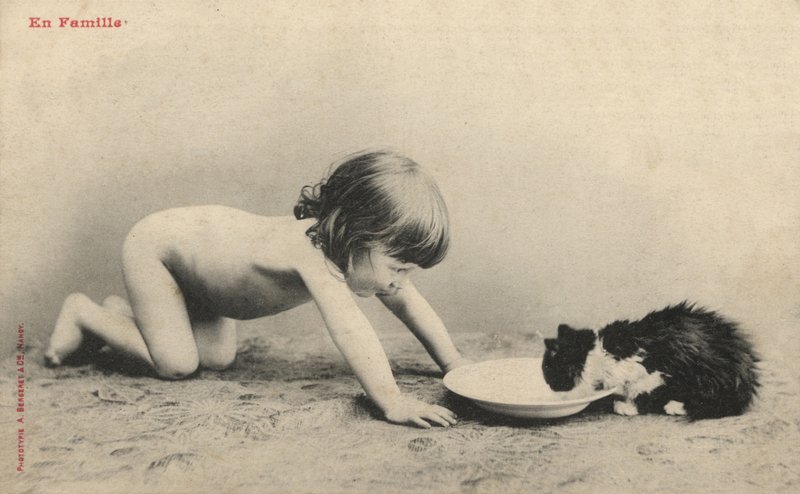 Yavru kedi olan çocuk by French Photographer