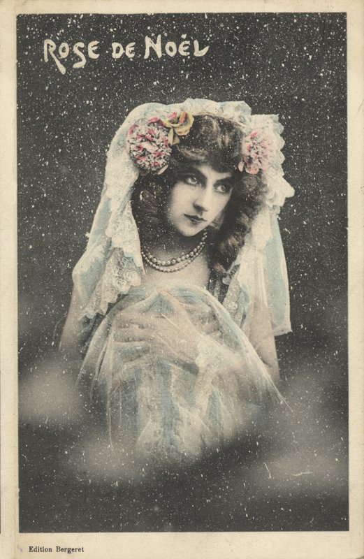Noel gülü by French Photographer