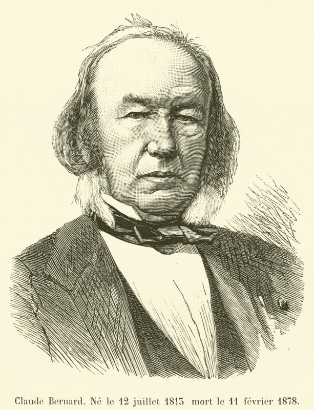Claude Bernard, 12 Temmuz 1813