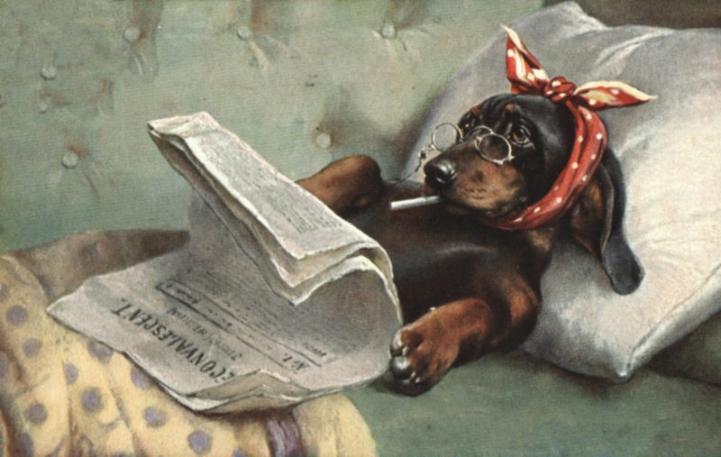 Gazete okuyan köpek by French School