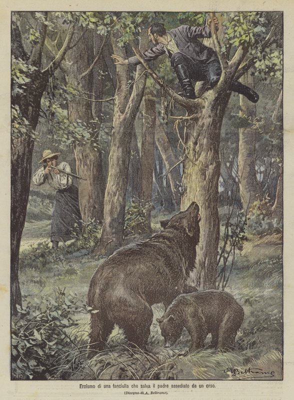 Ayı tarafından kuşatılan babasını kurtaran kızın kahramanlığı by Achille Beltrame