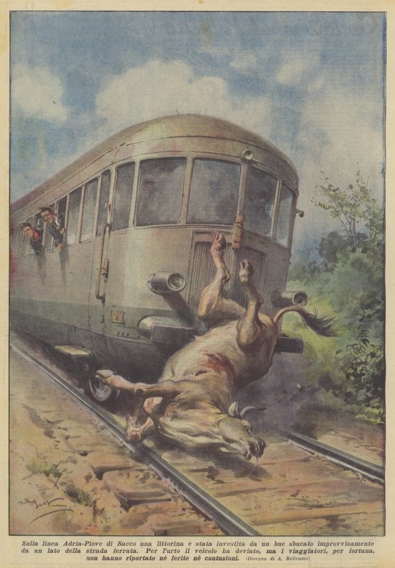 Adria-Piove di Sacco hattında, aniden ortaya çıkan bir öküz bir littorinaya mı çarptı? by Achille Beltrame