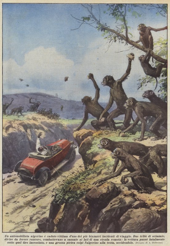 Cezayirli bir sürücü en tuhaf seyahat kazalarından birinin kurbanı oldu by Achille Beltrame