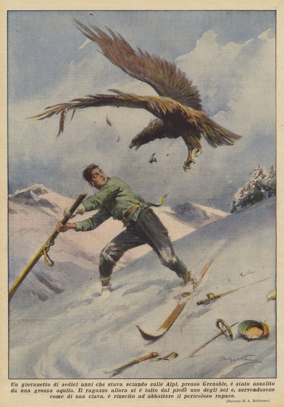 Grenoble yakınlarındaki Alplerde kayak yapan on altı yaşındaki bir çocuk, büyük bir kartalın saldırısına uğradı. by Achille Beltrame