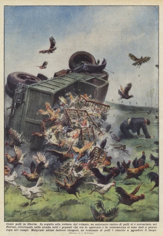 Gevşek yüz tavuk by Achille Beltrame