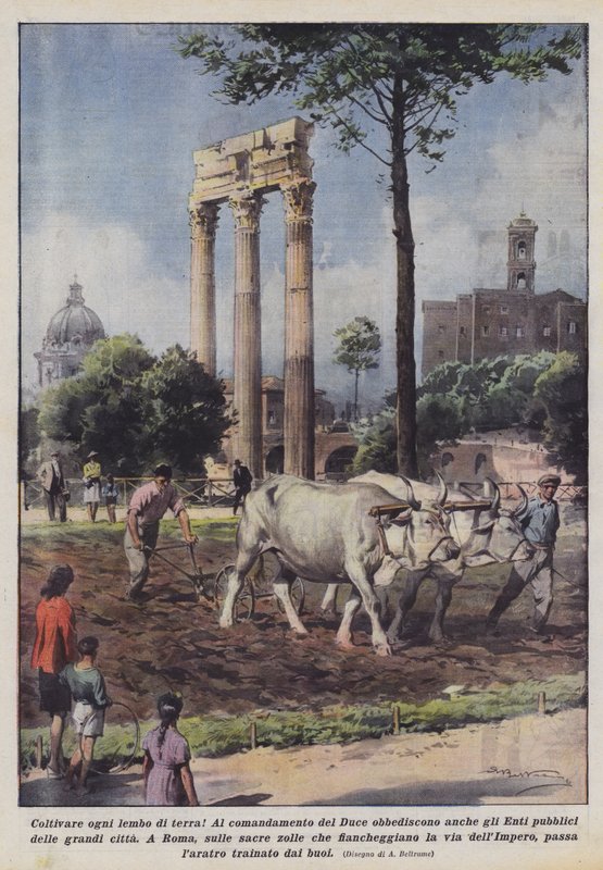 Her toprak şeridini işleyin! by Achille Beltrame