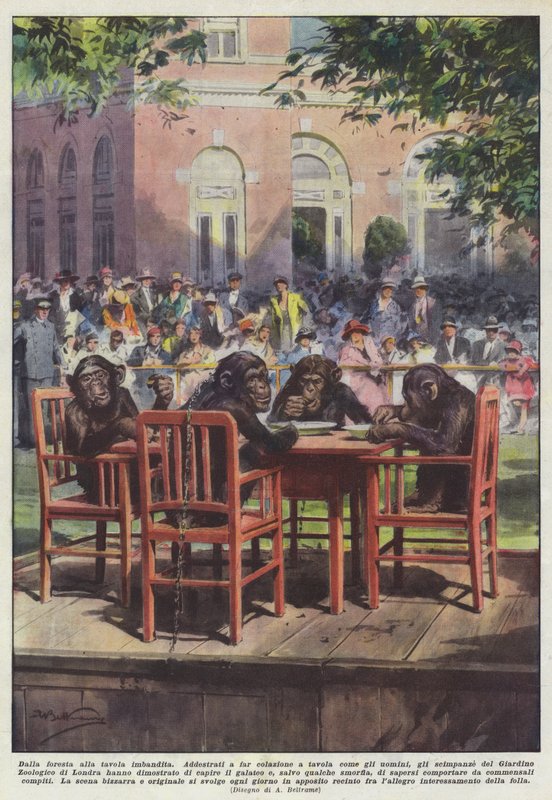 Ormandan döşenen masaya by Achille Beltrame