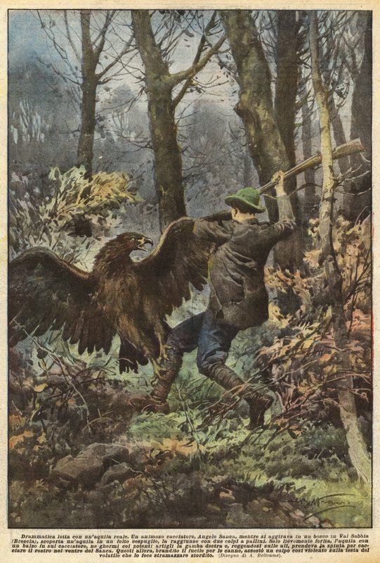 Altın kartalla dramatik dövüş by Achille Beltrame