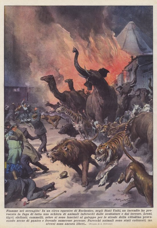 Hayvanat bahçesinde alevler! by Achille Beltrame