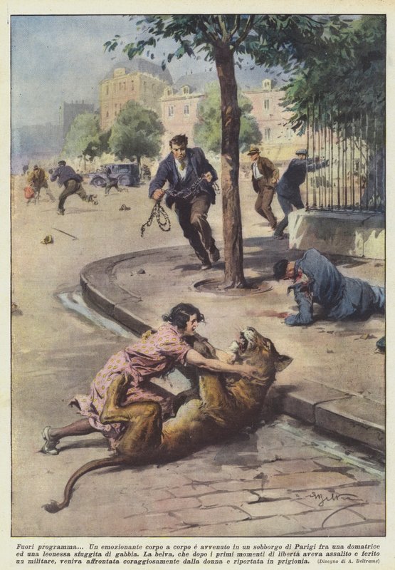 program dışı by Achille Beltrame
