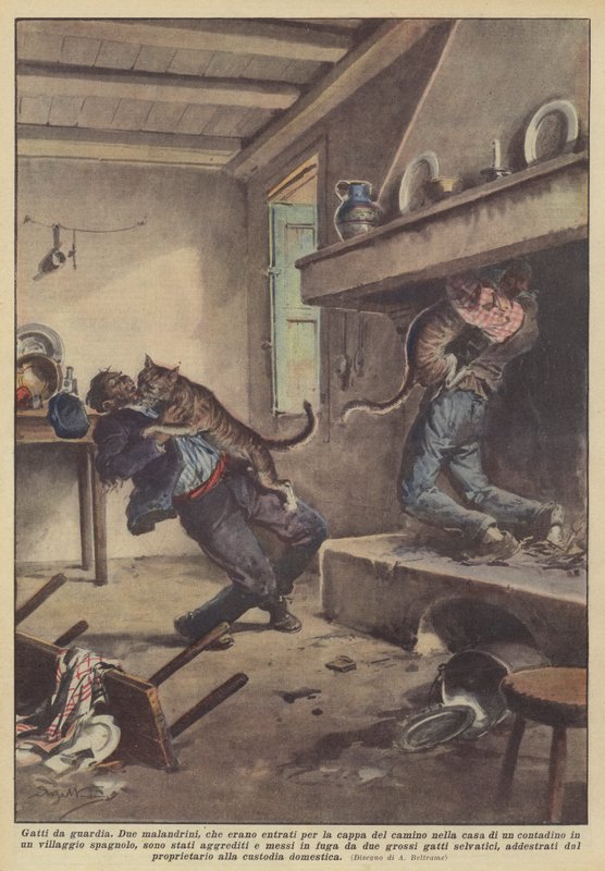 bekçi kedileri by Achille Beltrame