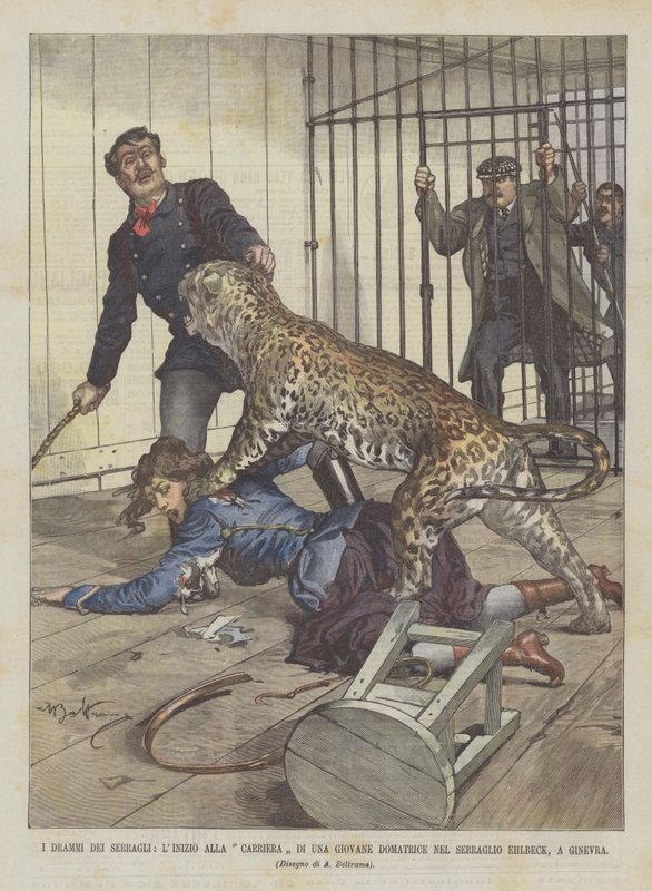 Menageries Dramaları, Ehlbeck Menagerie, Cenevre