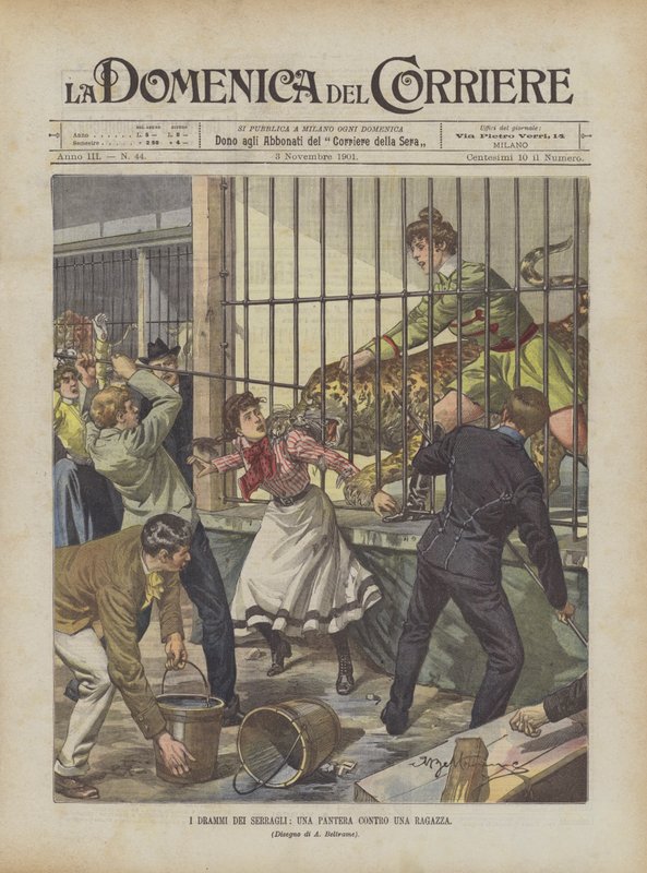 Menageries Dramaları, Bir Kıza Karşı Panter by Achille Beltrame