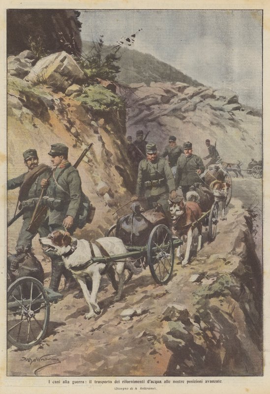 Köpekler savaşa, su kaynaklarını ileri mevzilerimize taşıyor by Achille Beltrame