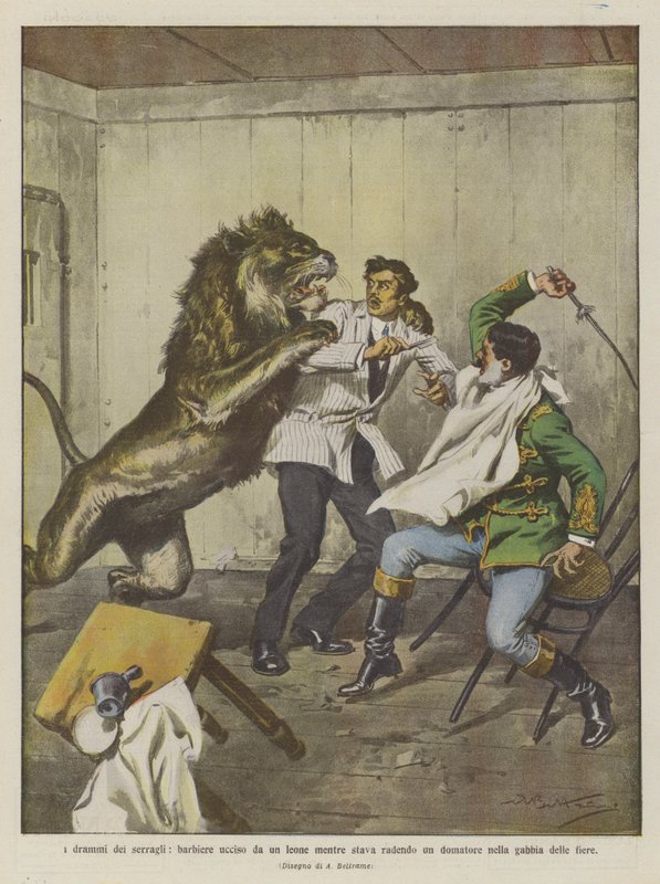 Hayvanat bahçelerinin dramaları, hayvanların kafesinde bir terbiyeciyi tıraş ederken bir aslan tarafından öldürülen bir berber by Achille Beltrame